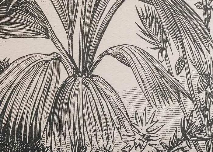 Ts New Town Apartment